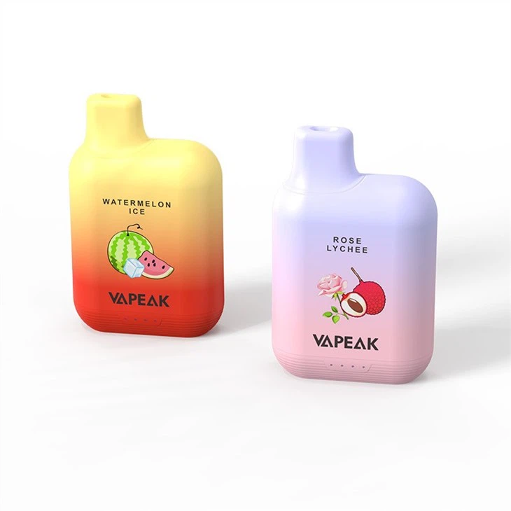 Vapeak 5000 Puffs Disposable Vapeak 5000 Puffs Disposable
