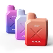 Einweg-Vape-Pen 500 Puffs, sichtbare Fensterbox