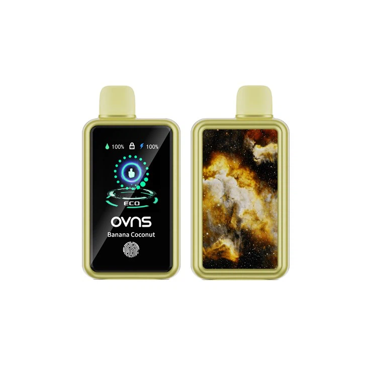 OEM Einweg-Vape 30000 Züge
